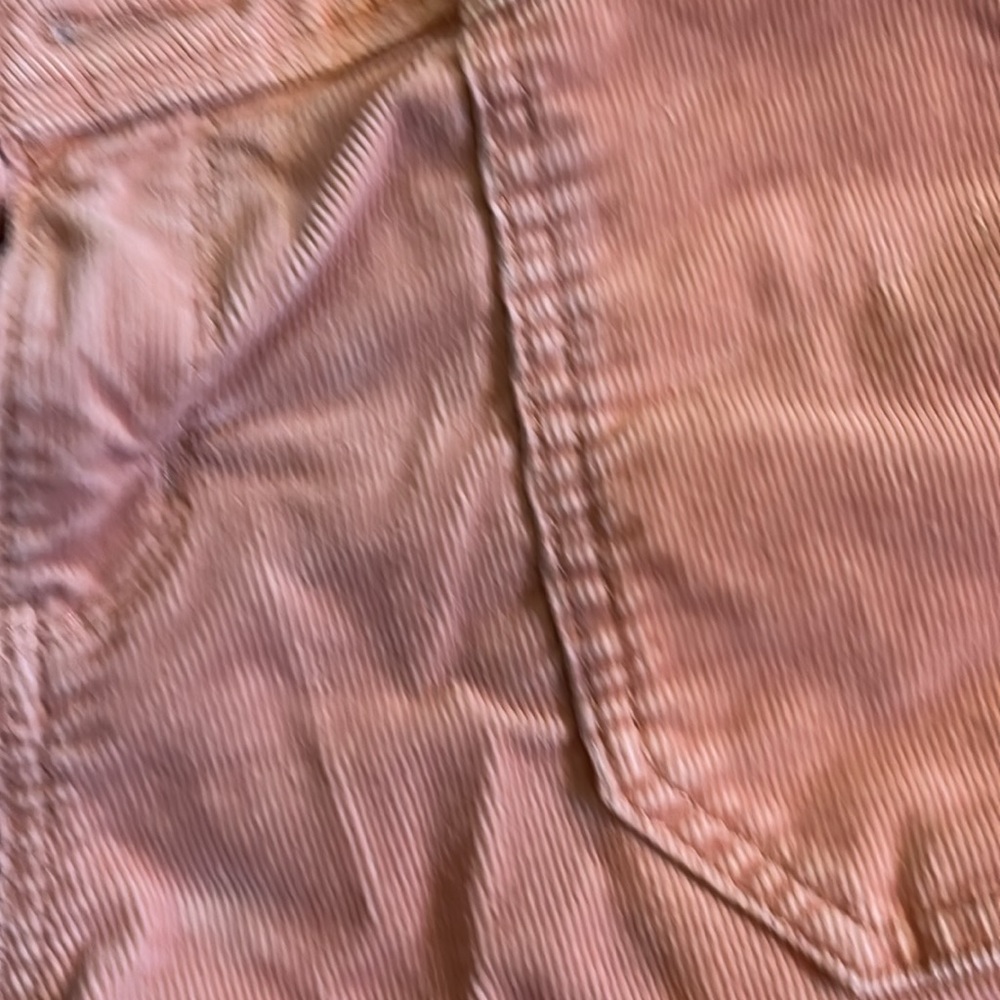 3/$20 Cute corduroy shorts by LC Lauren Conrad. - Picture 2 of 3